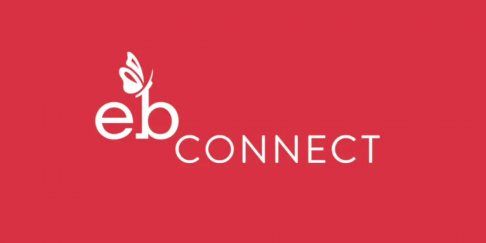 This is the EB Connect logo.